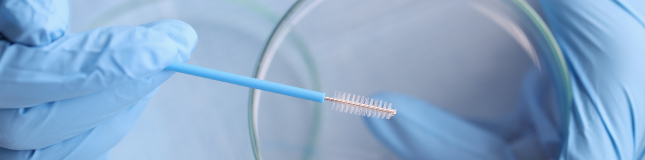 F. Bosch Cytology Brush, non-sterile